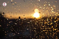 Golden Shower