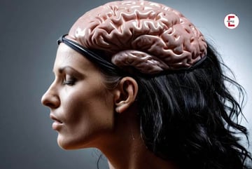 Mentalerotik