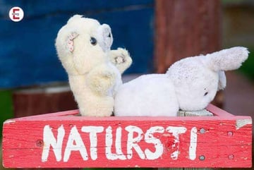 Darum ist Sodomie verboten in Deutschland