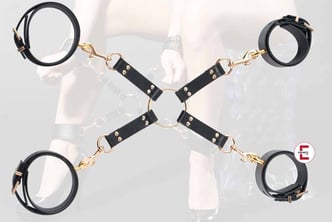 Testbericht: Das Guilty Pleasure BDSM Hogtie Set