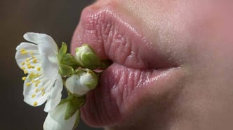 Warum Porno und Blowjob zusammengehören