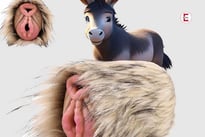 Möchtest du mal eine Esel- oder Hundemuschi penetrieren?