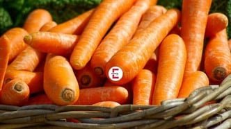 Das Fetischlexikon: Was ist Sitophilie?