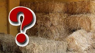 Warum liegt hier eigentlich Stroh rum? Die Antwort!