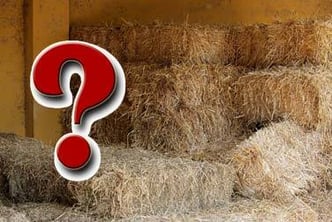 Warum liegt hier eigentlich Stroh rum? Die Antwort!