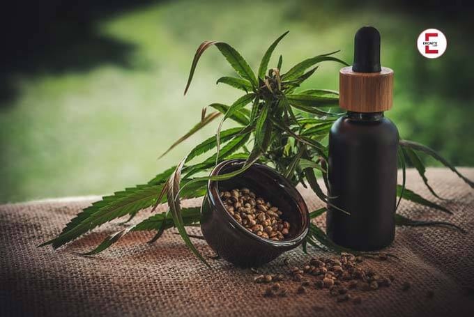 So kann CBD-Öl dein Sexleben verbessern