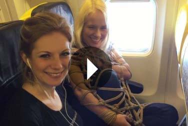 Abgehoben: Bondage im Flugzeug nach Mallorca Abgehoben: Bondage im Flugzeug nach Mallorca