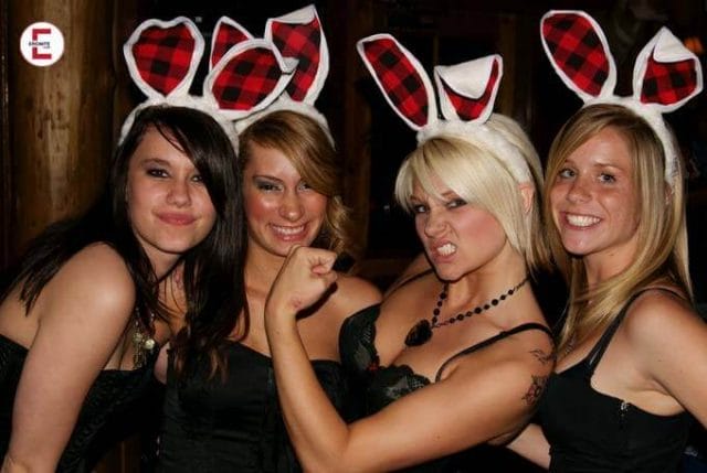 Bunny Bunny