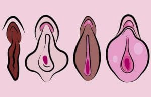 Knew? Color of the labia determines sex life!