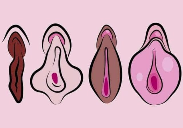 Knew? Color of the labia determines sex life!
