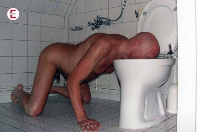 Als Kloschwein bedingungslos als WC zur Verfügung stehen Als Kloschwein bedingungslos als WC zur Verfügung stehen