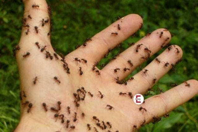 Die 12 krassesten Fetische – eklig und pervers Die 12 krassesten Fetische – eklig und pervers