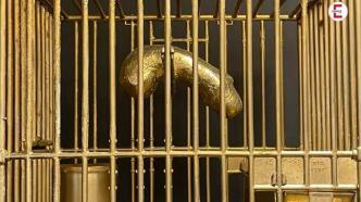 Peniskäfig tragen ungesund?