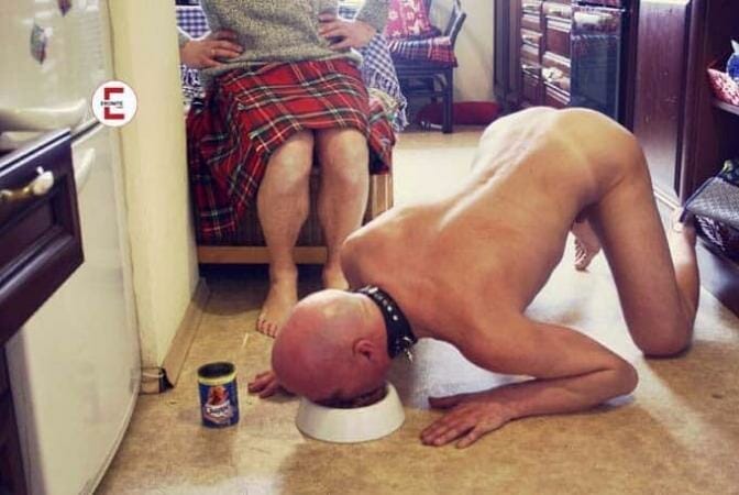 Petplay