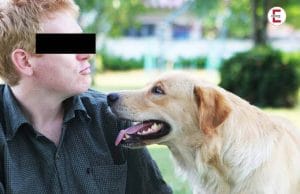Sex mit Hunden gefordert: Perverser überfällt Frauchen