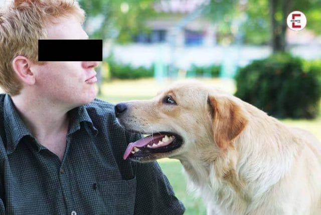 Sex mit Hunden gefordert: Perverser überfällt Frauchen Sex mit Hunden gefordert: Perverser überfällt Frauchen