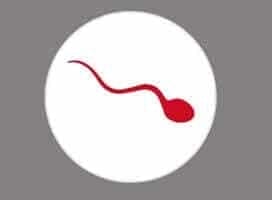 Sperma-Allergie … ausgerechnet beim Sex! Sperma-Allergie … ausgerechnet beim Sex!