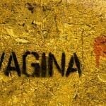 Unglaubliche 240 Synonyme für die Vagina