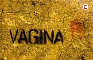 Unglaubliche 240 Synonyme für die Vagina