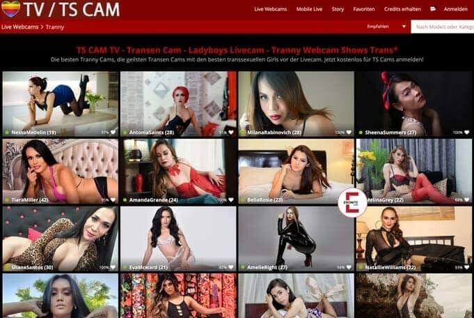 Switch on Transen Cam and enjoy Tranny’s camshows