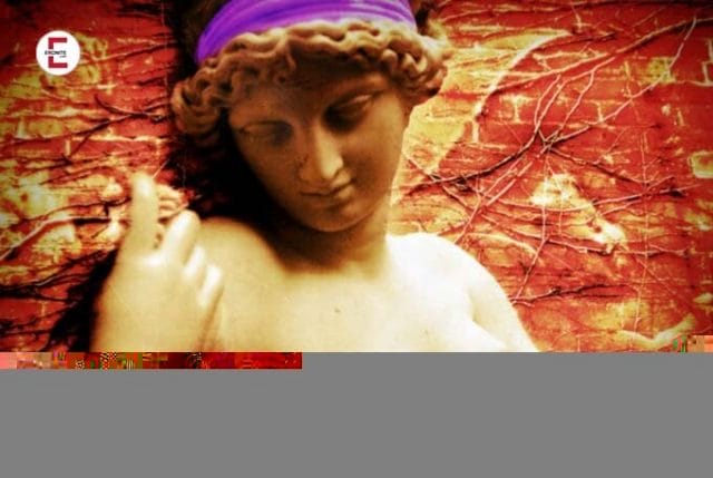 Venus Venus